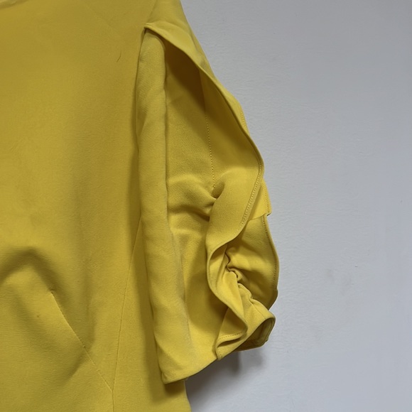 Lafayette 148 New York Winslow Dress - Picture 7 of 9